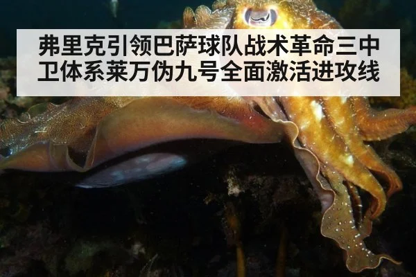 弗里克引领巴萨球队战术革命三中卫体系莱万伪九号全面激活进攻线